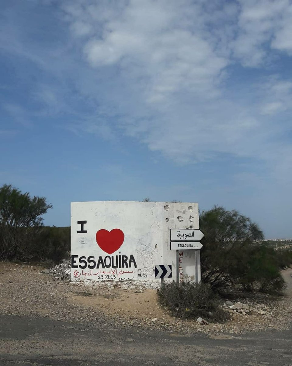 visitmarrakechregion tweet media