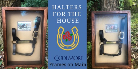 Rare chance to get a piece of horse racing history and support <a href="/RMHCLexington/">RMHC Bluegrass</a> in the process! Raffle for Justify &amp; American Pharoh halters! Bit.ly/halters4rmhc