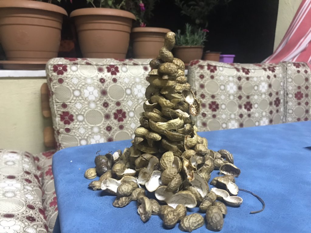 Osmaniyeli yer fıstığını sadece yemez sanatını da icra eder 😅