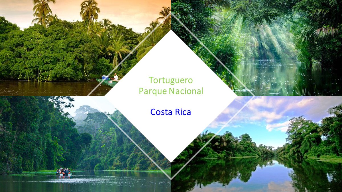 Eco Challenge Ecotourism & Adventure tweet media