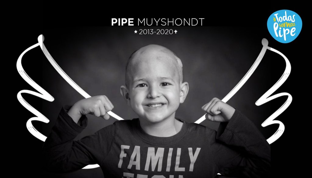gmuyshondt's tweet photo. El dolor que siento, solo se compara al orgullo que siento de haber sido su papá.

Pipe siempre fue feliz, y ya está en el cielo.

Gracias a todos lo s que han sido parte de nuestra batalla.  Nos ayudaron mucho.

#TodosSOMOSPipe https://t.co/45Wf9WvVEe
