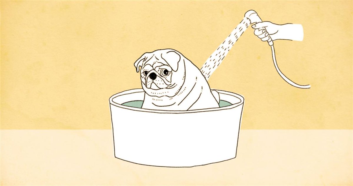 Ann Marie Fleming's new short, Old Dog, has its world premiere <a href="/thefilmfest/">Atlantic International Film Festival</a>
 tomorrow (Sept 17)! 
"After losing his best friend, an elderly pug named Henry must depend on his owner for help and companionship."
bit.ly/3kpGDOt #dogsoftwitter #animation