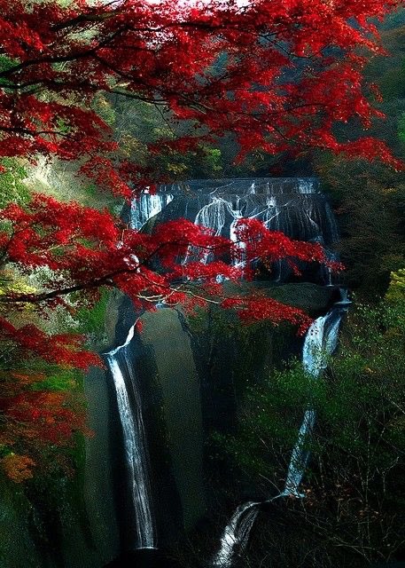 moraimauy's tweet photo. #beautifulFalls 🌺🍂💦 https://t.co/oMIntRqbZ3