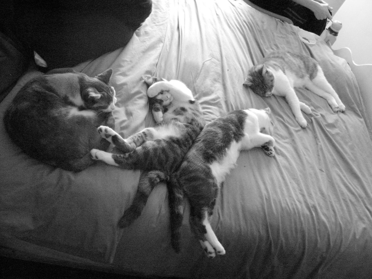 drphibes67's tweet image. 