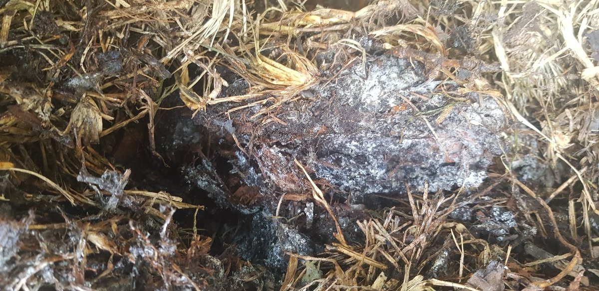 #compost #SaveTheWorld #cerowaste jois us