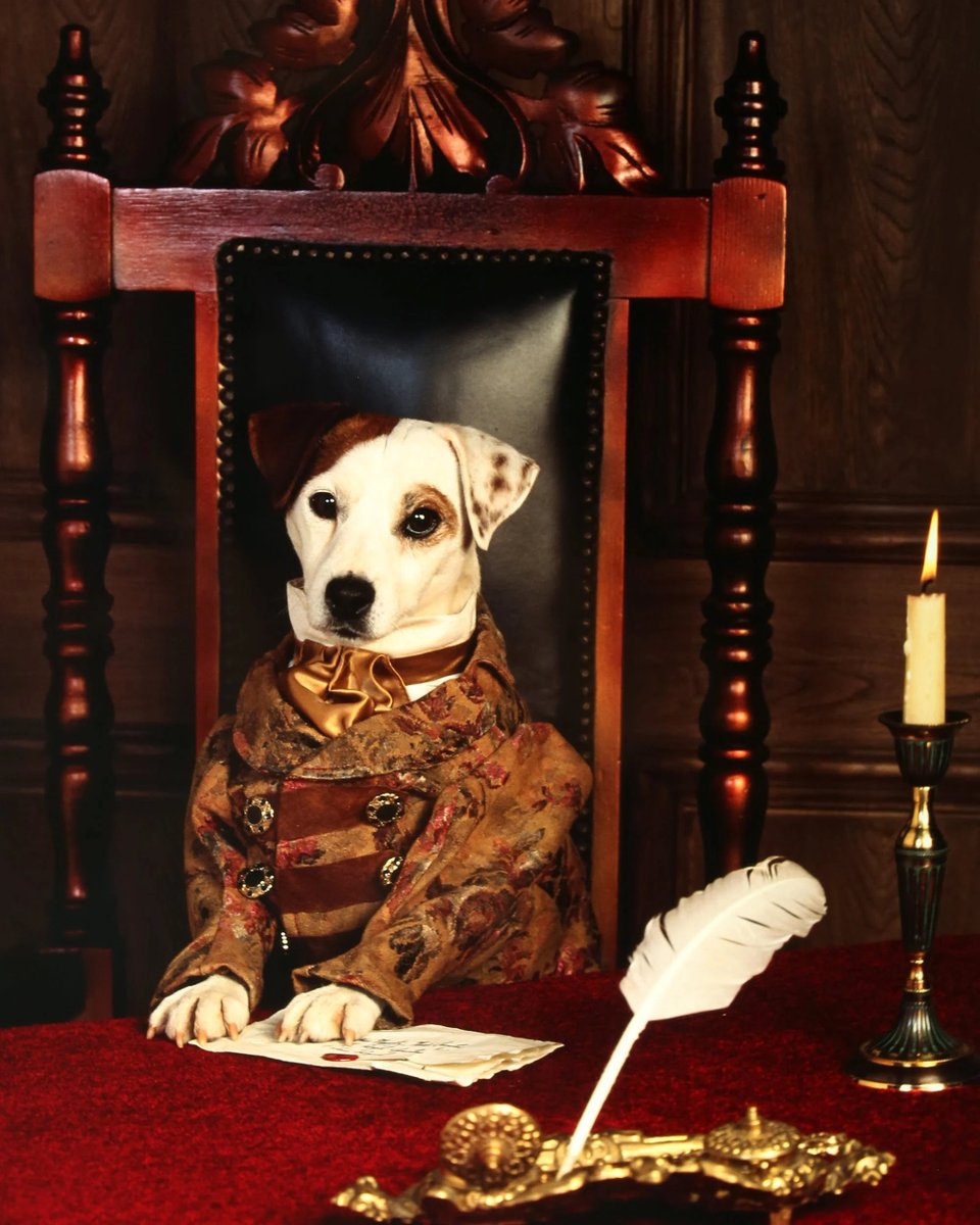 catrcardenas's tweet photo. Working on an oral history of Wishbone was probably the best part of the past few months. Come for the wonderful behind-the-scenes photos of this fashion king, stay for the heartwarming tails (sorry) from the cast and crew who made this show so special ❤️ https://t.co/eCWXKj0CnV https://t.co/JWoj8GL5XS