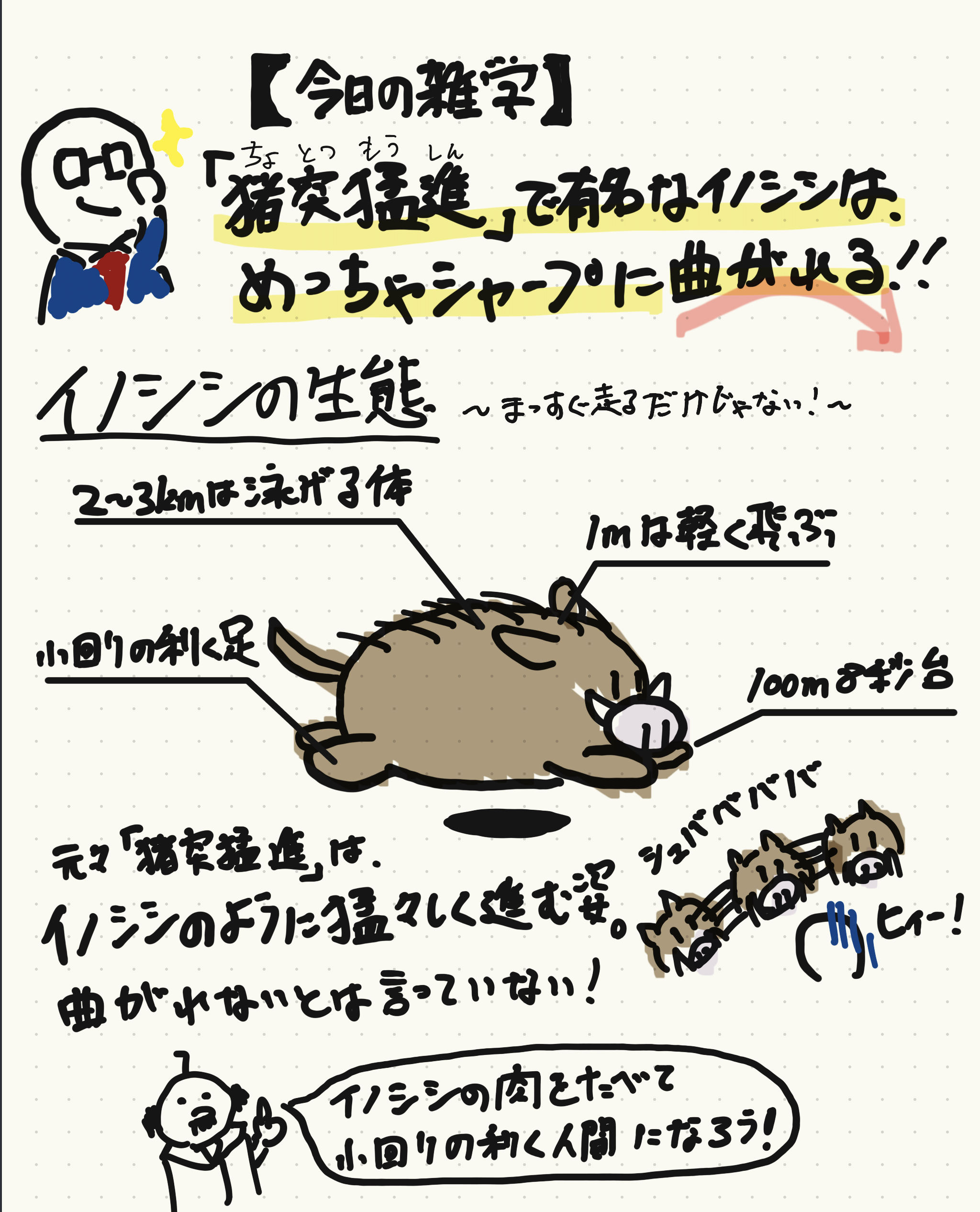 いっくん 図解メガネ おはいっくん 今日の雑学 猪突猛進で有名なイノシシは めっちゃシャープに曲がれる 詳細は図解で ちなみにイノシシといえばライオンキングのプンバ 彼の歌う ハクナ マタタ は スワヒリ語で 心配ないさ