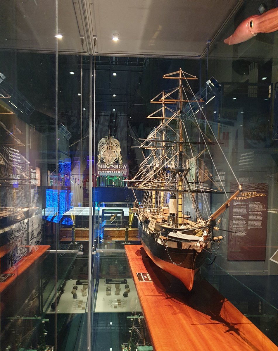 In parallel to this  #cryptozoology section, we explore how scientific discoveries of the late 1800s - in particular the Challenger expeditions - revolutionised knowledge of the sea. Loads more exhibits, including a replica Challenger cabin...