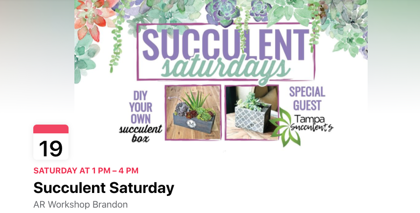 Join us @ AR Workshop This Saturday!🌵 #SucculentWorkshop #TampaSucculents #ARWorkshopBrandon- mailchi.mp/1f5ec597d9ff/j…