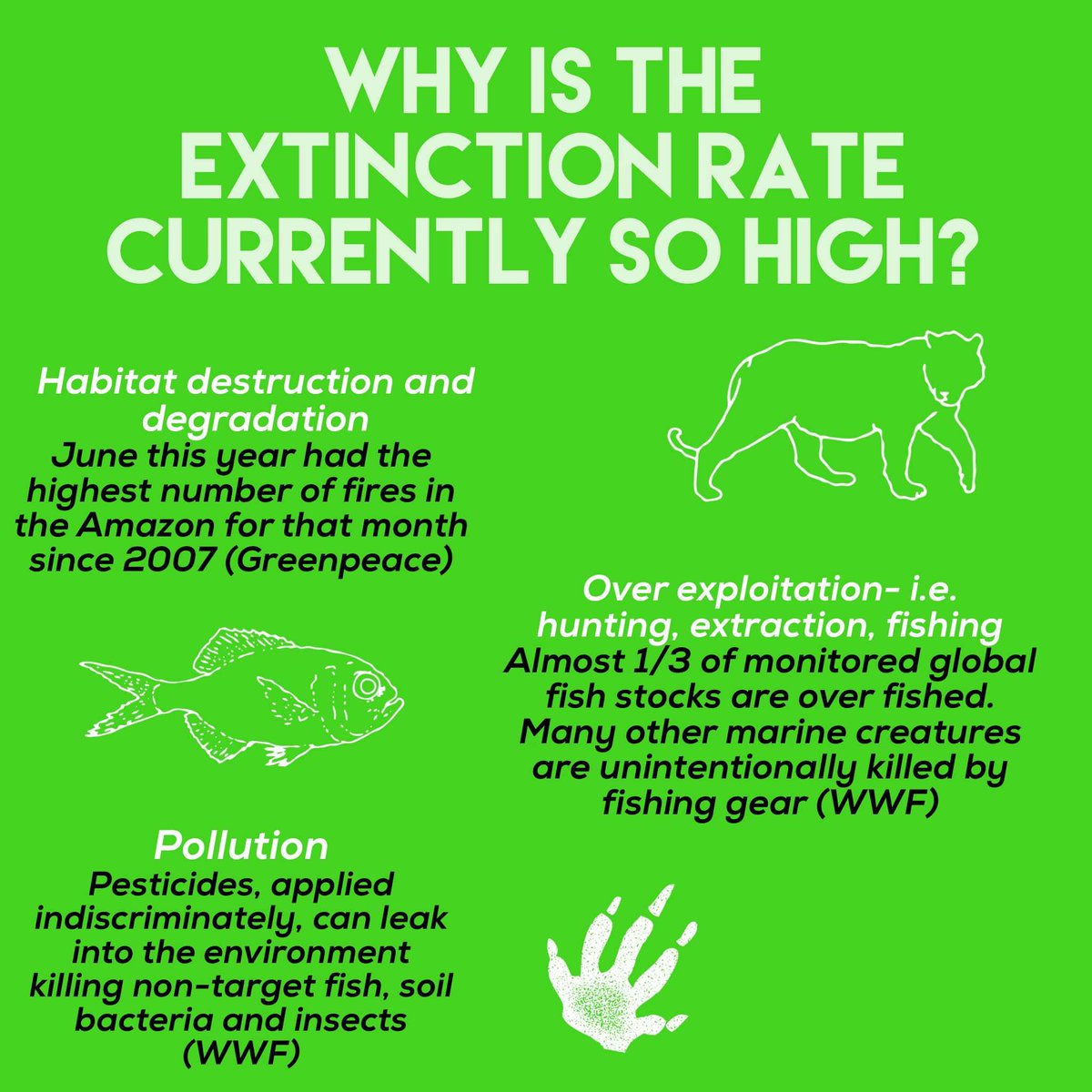 Road2sustain's tweet photo. The current rate of #extinction is well above background extinction rates. If we all work together, we can make a difference. Have a read of the information @izzygckerr has put together and check out #ExctinctionTheFacts on BBC if you haven't already. We only have one planet🌍 https://t.co/gIbwTlU4zS