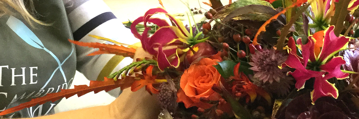 CambridgeFlower's tweet photo. Scissors, flowers, action! Autumn and Christmas we are coming to get you!- https://t.co/WdBIAjKYf8 https://t.co/gVFpNMoC35