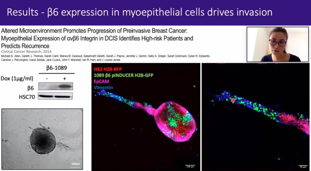 Well done to <a href="/ShayinGibson/">Shayin Gibson</a> and all speakers at today’s <a href="/OrganOnAChip/">Organ-on-a-Chip Technologies Network</a> symposium! It’s great to still be able to share fascinating science and hear about the latest developments in #organonachip and #invitromodels technology.