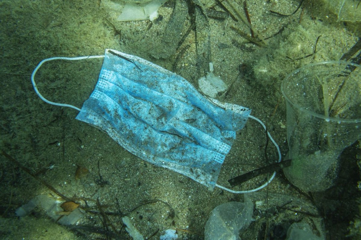 plasticsoupfoun's tweet photo. Disposable masks ‘are causing enormous #plasticwaste and need to be replaced with reusable face coverings’ https://t.co/Ta9dKz9OhK
Are #singleusemasks going to be in the top-5 litter found in this year's #WorldCleanupDay? 🤔
Register your cleanup here 👉 https://t.co/u33IQu2lBz https://t.co/vZSuWVoDSl