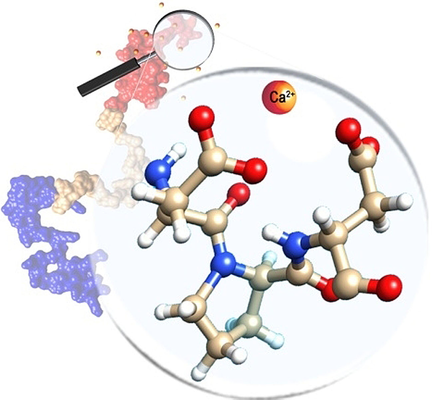 angew_chem's tweet photo. Monitoring #synuclein #calciumions interactions by zooming into intrinsically disordered protein side chains with #heteronuclear #NMR @cerm_cirmmp @letizia_ponto @rpierattelli @FelliIsabella https://t.co/Tsrpe2nVLh https://t.co/7n1OvrUBfn