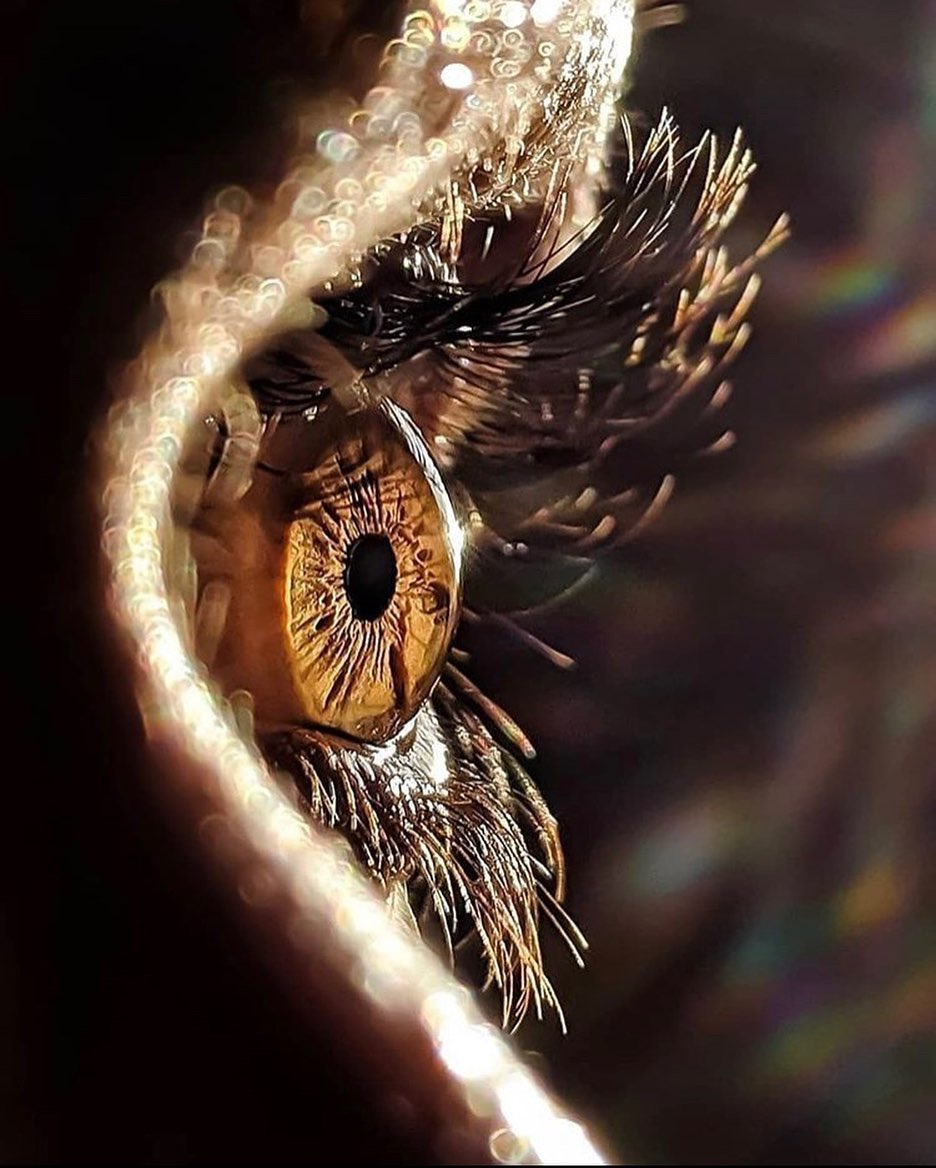 wearepixter's tweet image. Golden eyes ✨⁠
⁠
📷 Magnifique cliché par @le_petit_photographe_du_coin_ et son #PixterMacroPro⁠
⁠
⁠
pixter.co/products/macro…