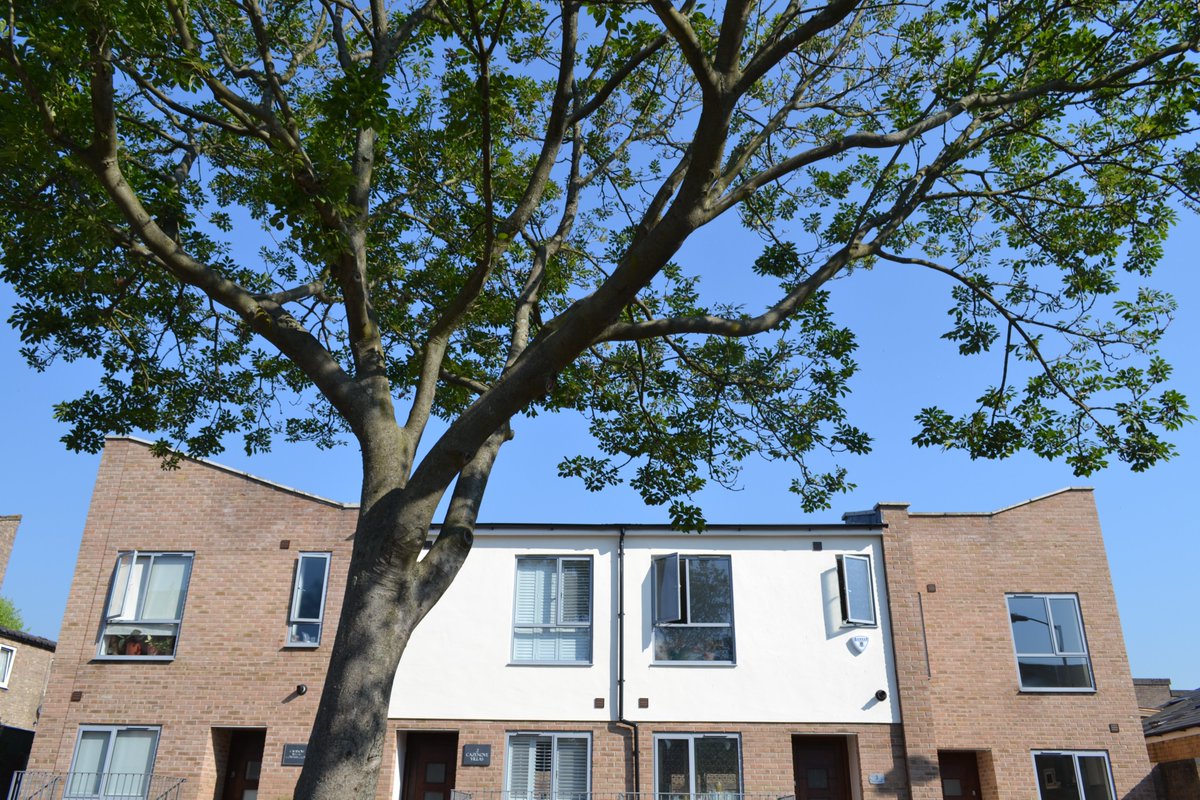 ShapeArchitect's tweet image. Town houses in Clapham by Shape Architecture #townhouses #townhousedesign #shapearchitecture shapearchitecture.co.uk