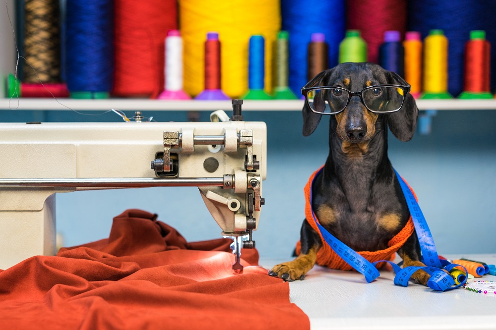 PartsDirect's tweet photo. You can't celebrate National Sewing Month if your sewing machine skips stitches, breaks thread or won't run at all. Check out our DIY repair help to get stitching again. #diyrepair #sewingmachinerepair https://t.co/pLU4mGwuaJ https://t.co/6JLknyPLft