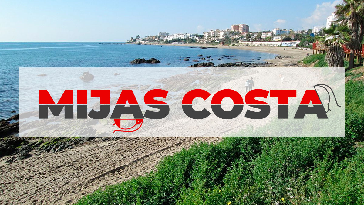 plagiser's tweet image. Para evitar las plagas de roedores y cucarachas en Mijas Costa se realizan desinsectaciones y desratizaciones periódicas que permiten controlar su población.
➡️➡️➡️ plagiser.com/es/blog-plagis…