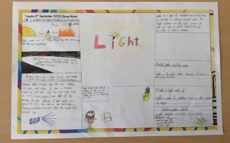 Hawthorn Tree School tweet media