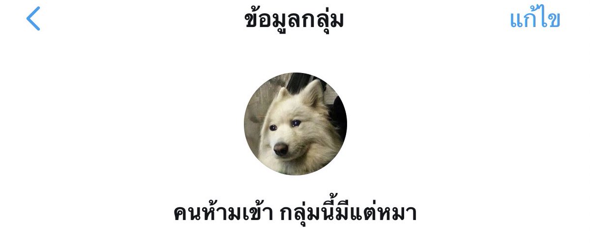 G tweet media