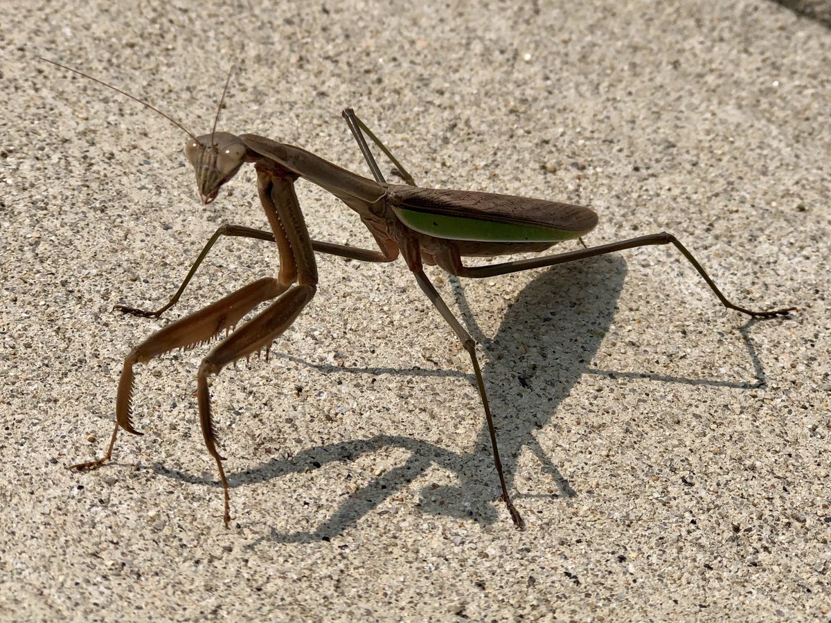 North Reading Middle School tweet media