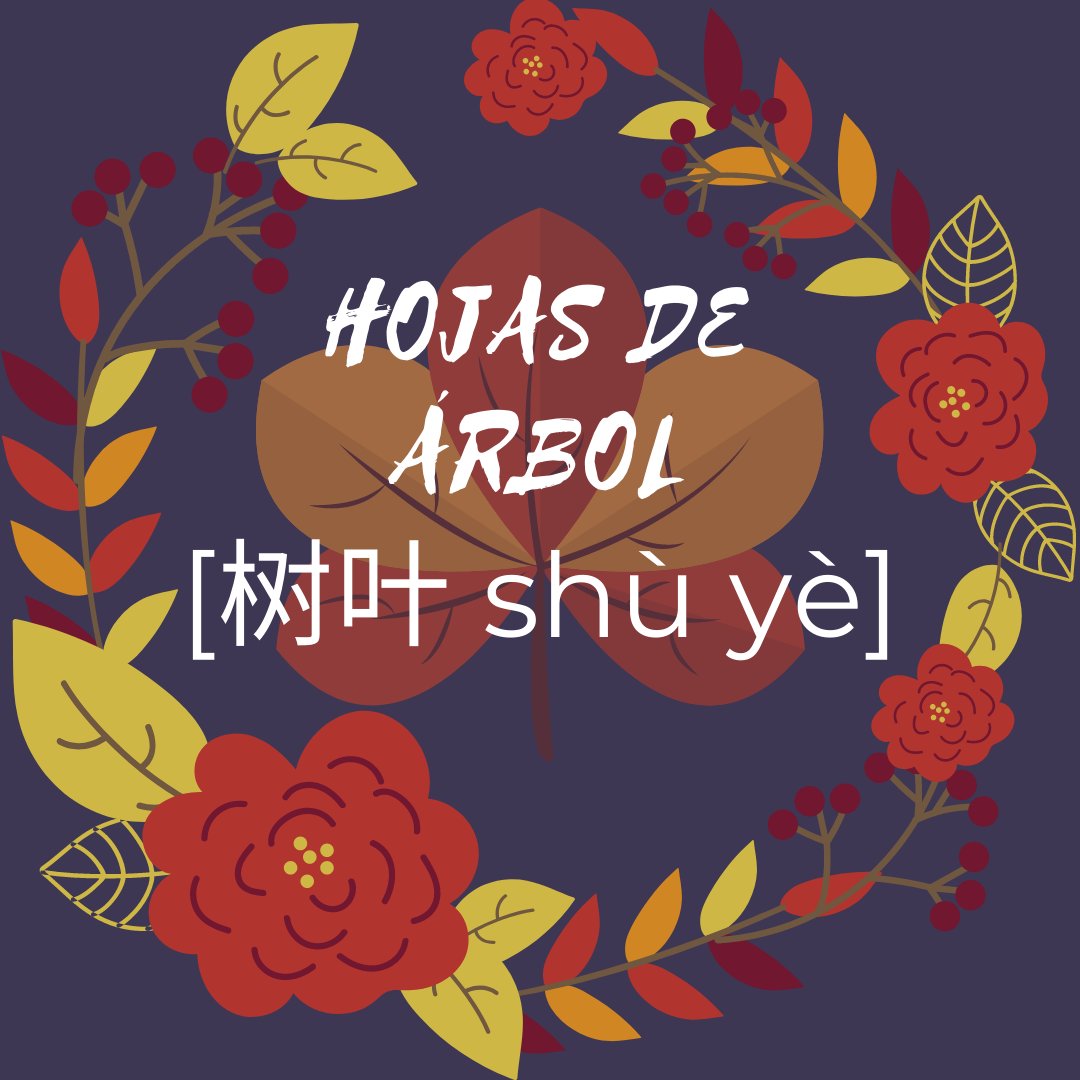 Ayame_leaf's tweet photo. Ya queda nada para que empecemos a ver una alfombra de hojas 树叶 en el suelo. Esa es la belleza del otoño. 
#otoño2020 #chinomandarin #chino #learnchineseonline #lovestudy #lovestudying #lovechinese #lovechina #learningidioms #learning #vocabularychinese https://t.co/4tuZTW5JRo