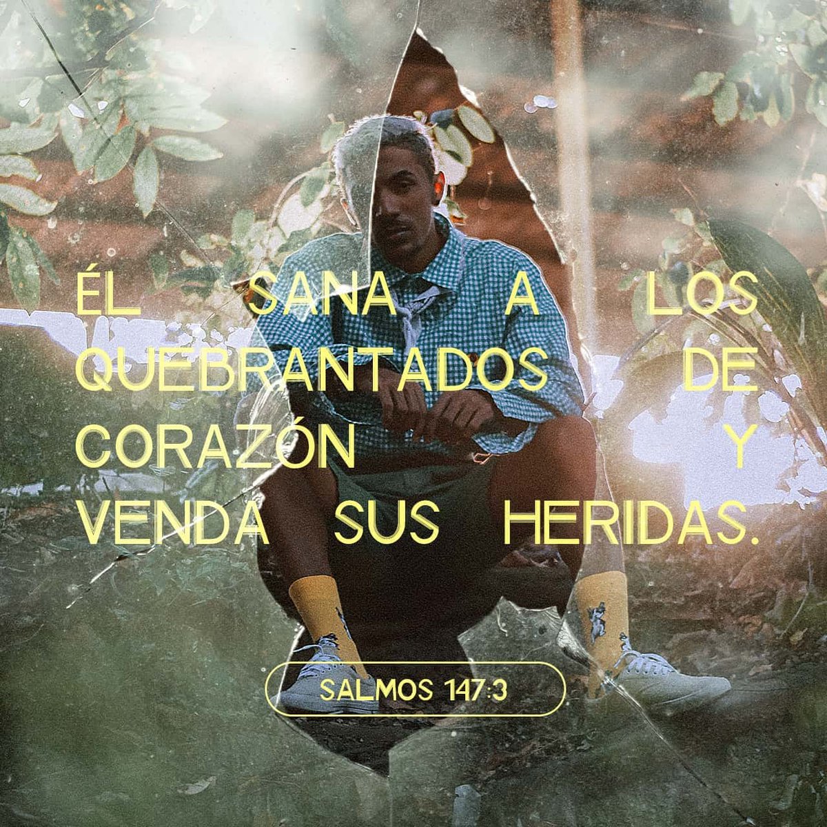 nomasviolencia's tweet photo. Él sana a los de corazón quebrantado y les venda las heridas. Salmos 147:3 NTV

https://t.co/hOx4GYWalc https://t.co/pxBauPDuKw