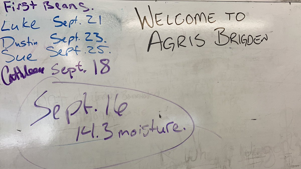 BrigdenScale's tweet photo. #harvest2020 @greatlakesgrain @agris_coop  beans coming in.  And so it begins https://t.co/Sns6OXrCXx