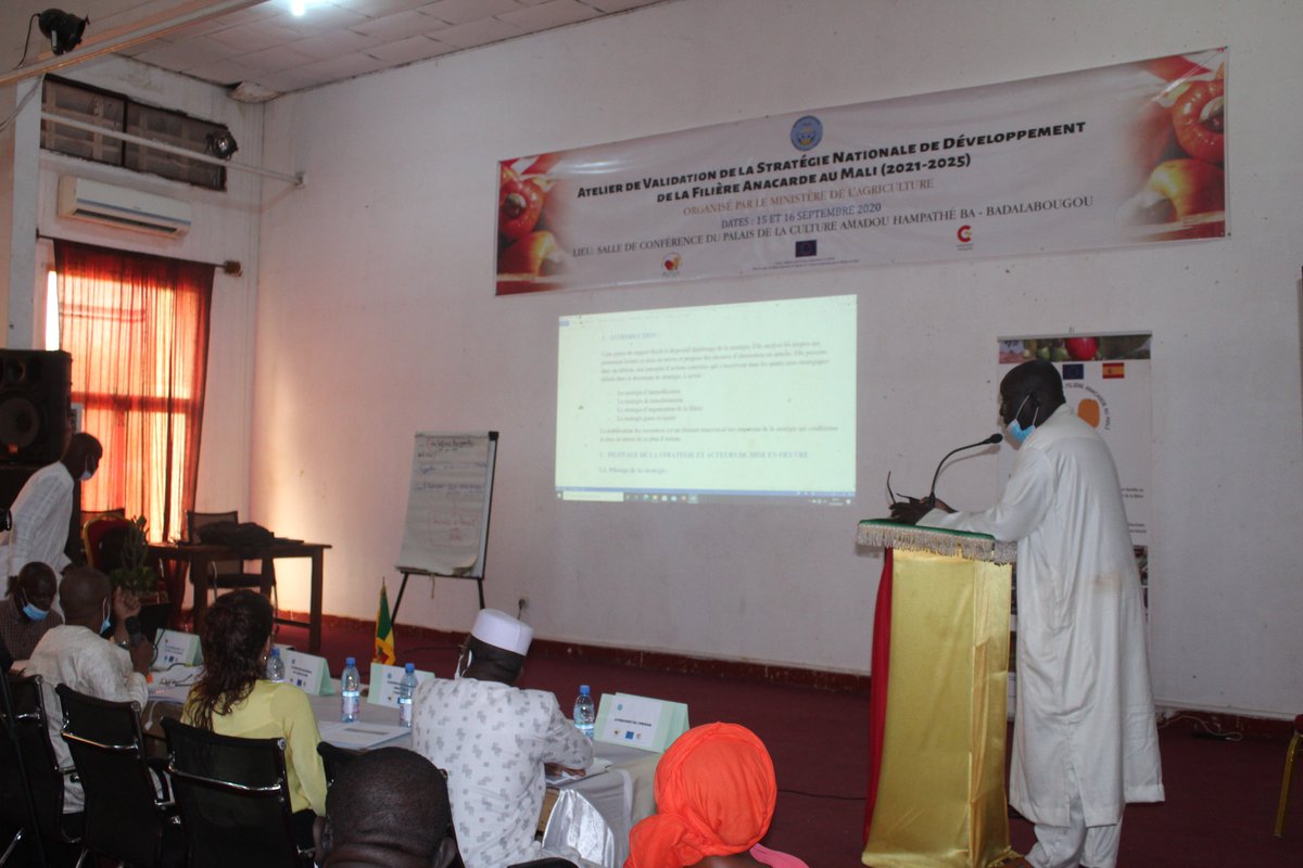 PAFAM3's tweet photo. FIN DES TRAVAUX DE L’#ATELIER DE VALIDATION DE LA STRATEGIE NATIONALE DE DEVELOPPEMENT DE LA #FILIERE #ANACARDE AU #MALI !!!
@UEauMali @AECID_es @agri_ministere #PAFAM #IPROFAM https://t.co/HONS49yjHa