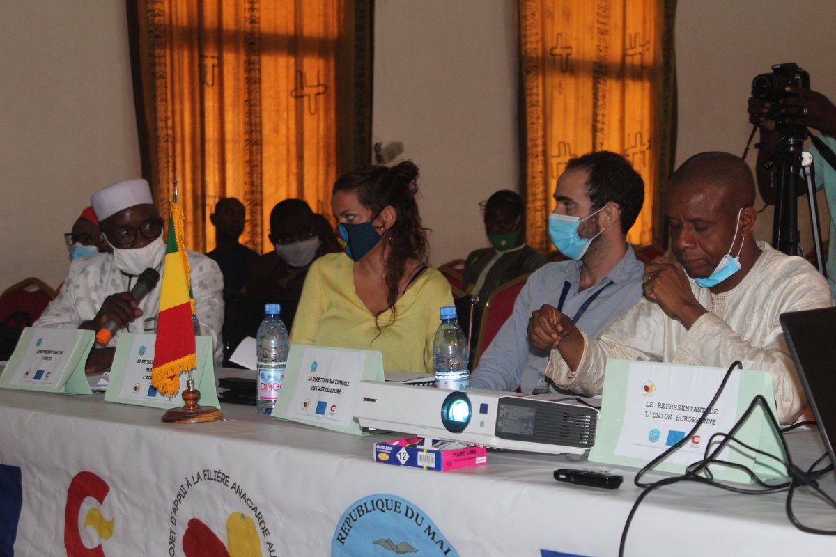 PAFAM3's tweet photo. FIN DES TRAVAUX DE L’#ATELIER DE VALIDATION DE LA STRATEGIE NATIONALE DE DEVELOPPEMENT DE LA #FILIERE #ANACARDE AU #MALI !!!
@UEauMali @AECID_es @agri_ministere #PAFAM #IPROFAM https://t.co/HONS49yjHa