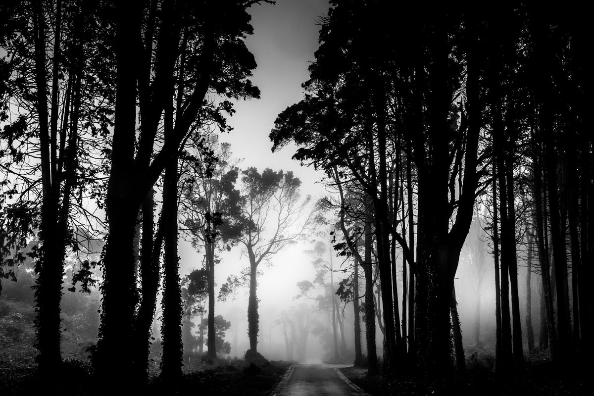 Iso801P's tweet photo. Preto e branco num mundo de cor #photography #fineart #landscape #fotografia https://t.co/8PympiSgRP