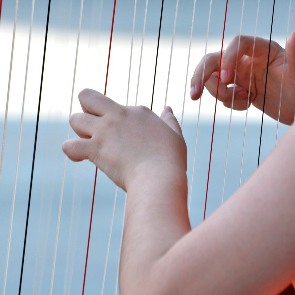 CymberLilyHarp's tweet photo. Question of the day: when you were learning to play the harp, what was the toughest thing to master? #harp #harpplaying #harpstrings #harps #questionoftheday #musician https://t.co/YsMqP2K3t5