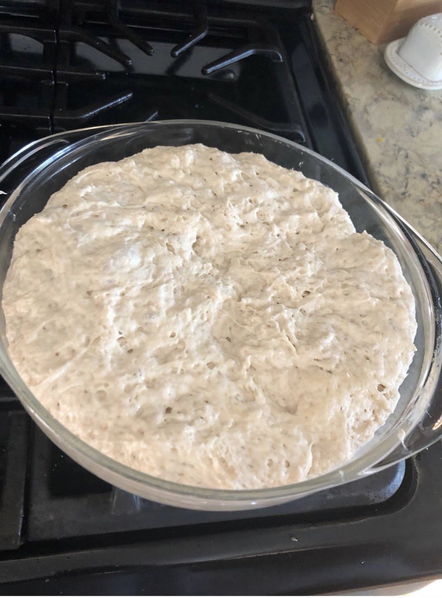 Student, Brian Sweeney, showed us step-by-step how he made this delicious artisan bread in his own kitchen! I'm tasting it through the screen! Nothing better than warm bread fresh out of the oven :) #culinaryarts #homemade <a href="/staggfacs/">Stagg FACS</a> <a href="/StaggSTEM/">AAS Science, TEE, & FACS</a>