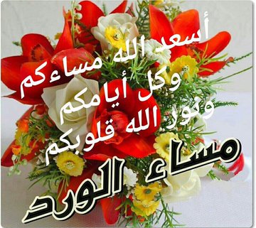 Agrdfysmtkmal's tweet photo. https://t.co/Ke9UTI3Pi6