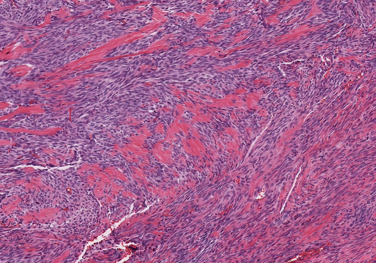 Anurag Sharma tweet media