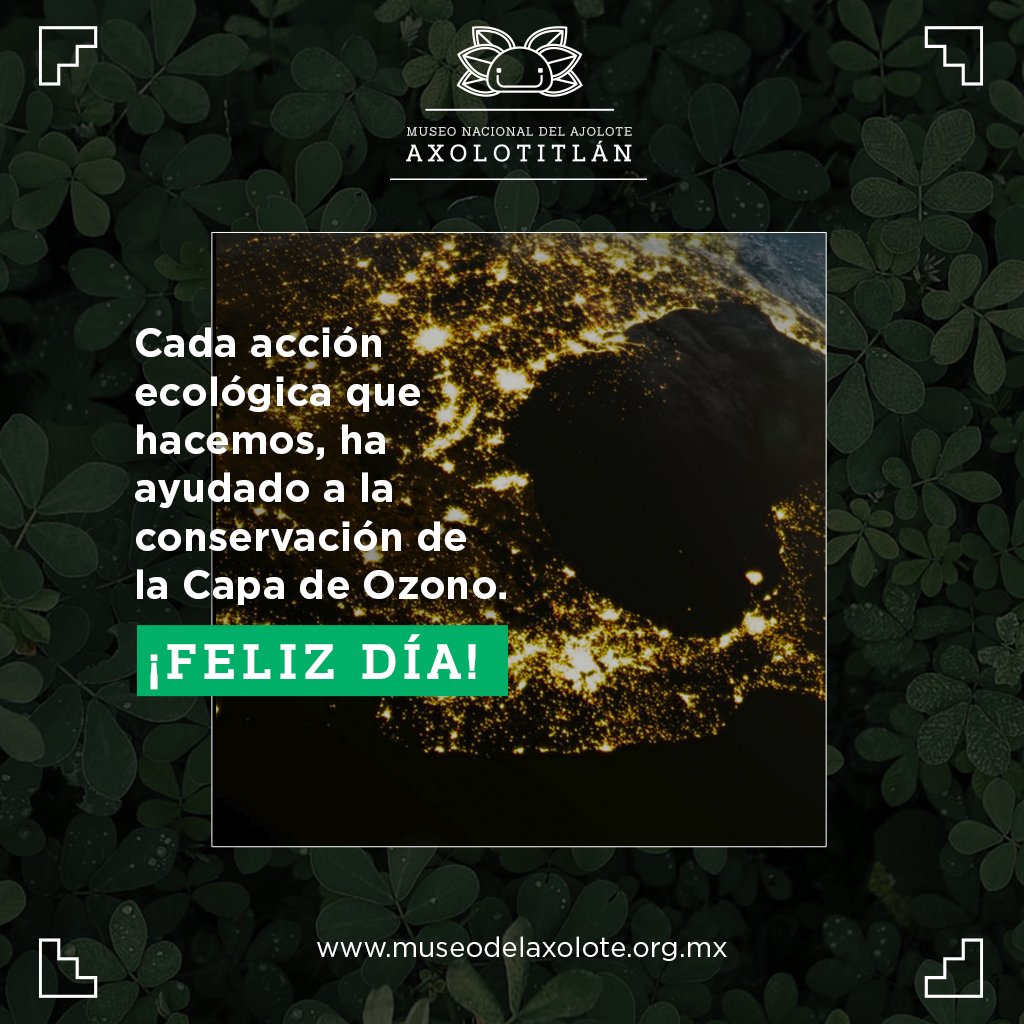 Axolotitlan tweet media