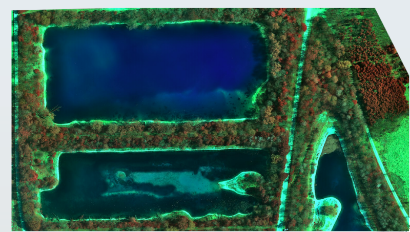 MicaSense's tweet photo. Hello @ExpoUAV Attendees! Kick off this week by reading more about how our Dual Camera System can be used for #forestry #speciesclassification and #coastalenvironment applications! 
#expouav20 #dualcamerasystem https://t.co/sOi0x0mDEq https://t.co/SLxkn5iz9g