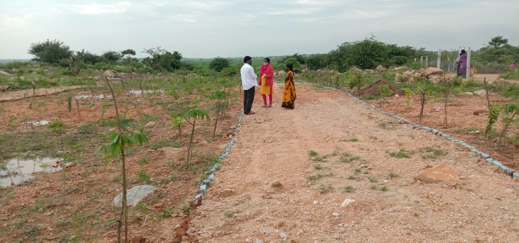 Palle prakruthi vanam in kathepally  gram panchayat