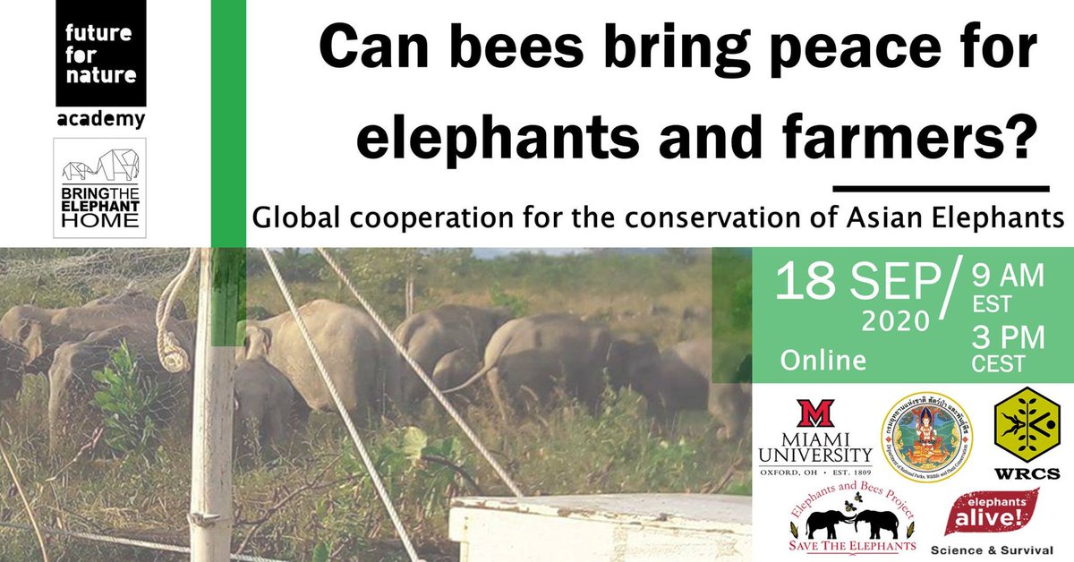 Trunks & Leaves tweet media