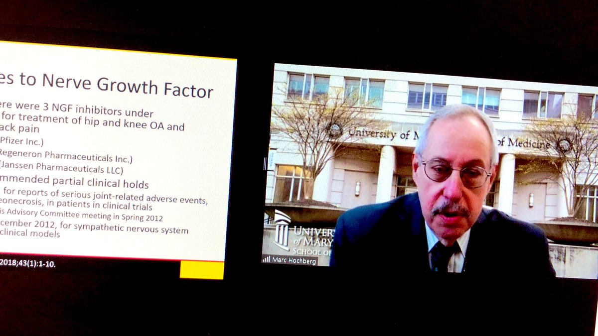 Marc Hochberg <a href="/UMmedschool/">University of Maryland School of Medicine</a> discussing the safety of anti-NGF Abs for #osteoarthritis #pain patients for <a href="/ArthritisFdn/">Arthritis Foundation</a> #AFOACS Forum Series