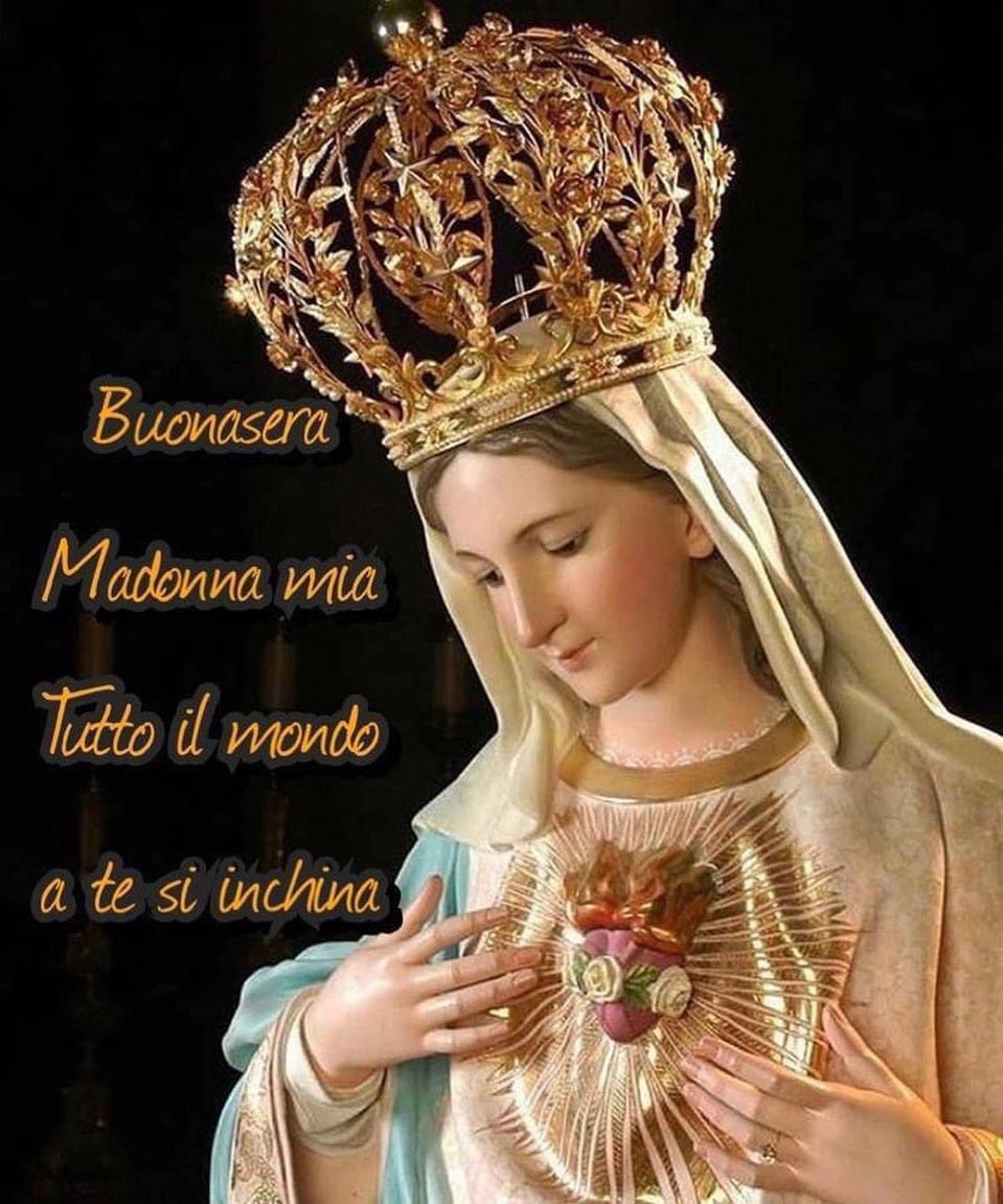 Buona Sera, Madonna Mia,
tutto il mondo a te s’inchina.
Per quel frutto che portasti
Tutto il mondo illuminasti.
Illuminasti l’anima mia
Buona sera, Madonna mia.
Tu sei la madre mia
Immacolata Concezione
Dà a noi tutti
La tua santa benedizione