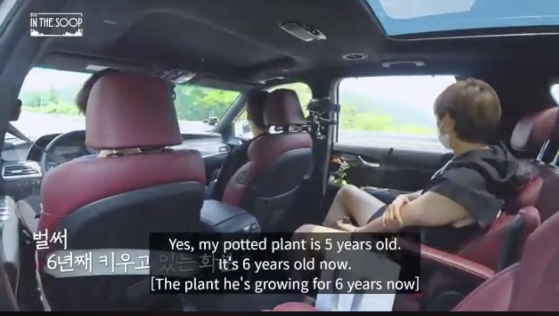 RM talked about that little bonsai in 2019 Festa, he named it '매화 아기 (Baby Plum blossom)' it was 5years old at that time and now it's 6years old. @BTS_twt