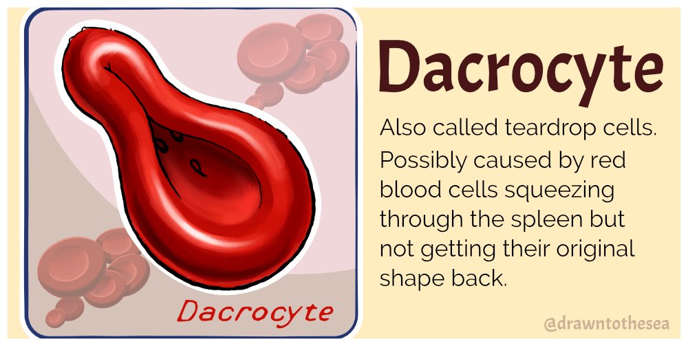 'Drawing blood' squeezes out another one.
tinyurl.com/yaomyma7
#SciArt #hematology #blood #MedEd