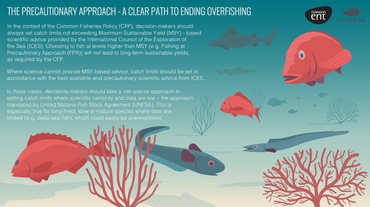 Here's a poster and a number of flyers I did recently for @Sciaena_NGO and @ENTmediambient to raise the awareness on the issue of overfishing in the EU waters. Thank you @Pestka_ for giving me the opportunity to be involved in this project 😀🐟 #EndOverfishing