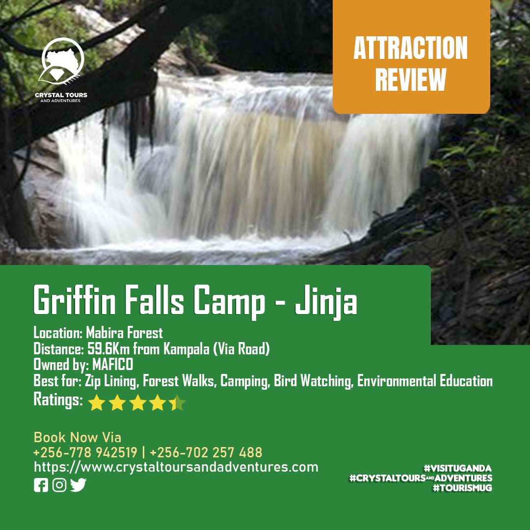 CrystalToursUG's tweet photo. Here's what you need to know about our Tour Destination come 9th October 2020.
.
Book Your Tickets On Call or WhatsApp 
#griffinfallscamp #lifeinthewild #crystaltours #tourismuganda #visituganda #adventure https://t.co/WsI1e34AQ3
