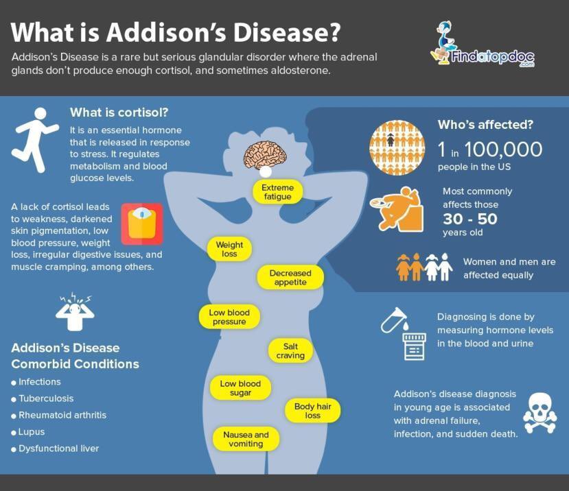 Miss_Sunder1and's tweet photo. I had almost every single symptom in the orange column and still explained it away as work or lifestyle... always listen to your body, now more than ever, and contact a gp if you feel unwell. #addisonsdisease #addisonsawareness https://t.co/cClJ3Jkl23