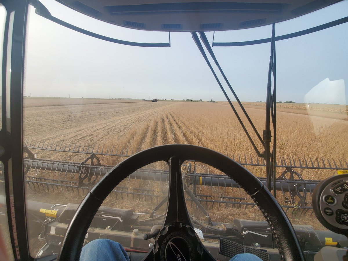 Guess we better make it official!! #harvest20 is underway!