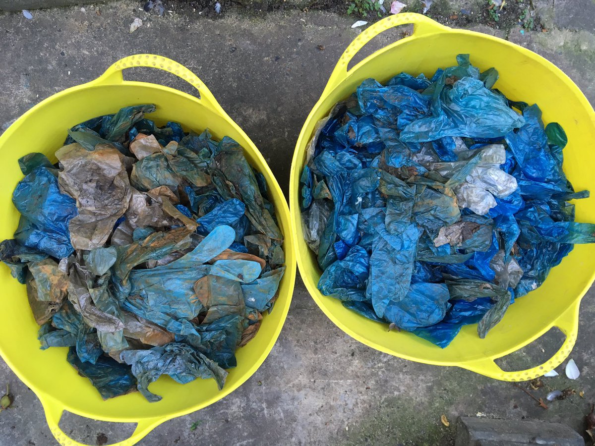 StonebridgeLock's tweet photo. 701 #singleuse #plastic gloves!  701, the total count of our haul today arising from @sainsburys #LowHall petrol station! 701 #plastic gloves diverted from polluting our #RiverChing! #GBO5 #ExtinctionTheFacts #habitatdegradation #plasticpollution #stateofnature https://t.co/3K4GmGusrA