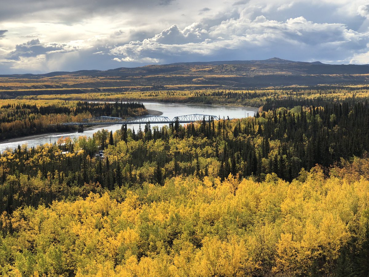 yukonhusky's tweet photo. A4. I canβt wait to go hiking and explore the beautiful Yukon this fall! #Yukon #Canada #hiking #dawsoncity #dome #watsonlake #signpostforest #tombstone #mountains #klondike #highway #fall #ExploreCanada #ExploreYukon @DawsonCityYukon @ExploreCanada @DestinationCAN @TravelYukon https://t.co/wpgw4dRg7v