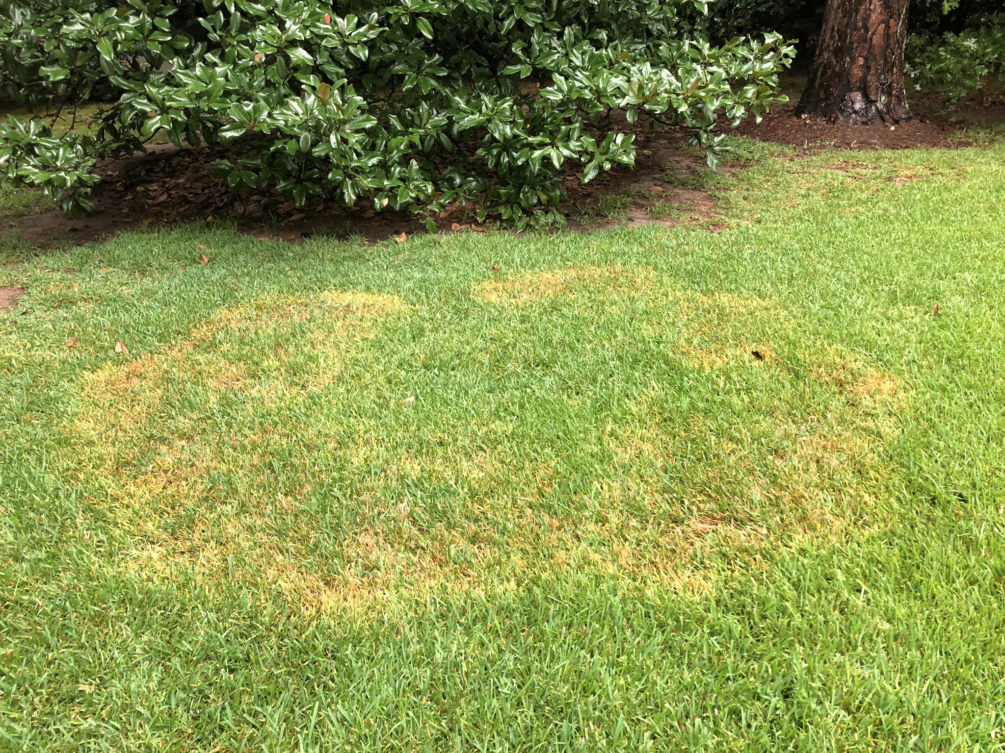 Crowns Landscaping Lee Cline (LClineCrowns) / Twitter